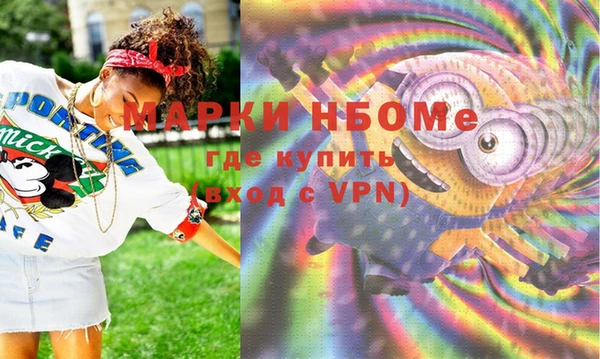 ешки Весьегонск